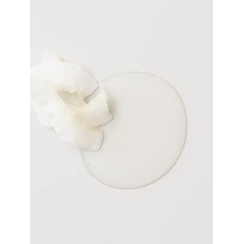 AG Care Sleeek Argan & Coconut Conditioner, 33.8 Fl Oz