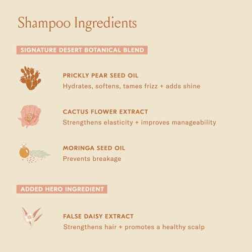 DAE Signature Shampoo - Cleanses & Hydrates Dry Hair & Scalp (32 oz.)