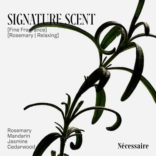 N?cessaire Rosemary Hair Duo - Shampoo and Conditioner Set for Women + Men. Rosemary Oil + Proteins For Stronger Hair. 500 ml / 16.9 fl oz