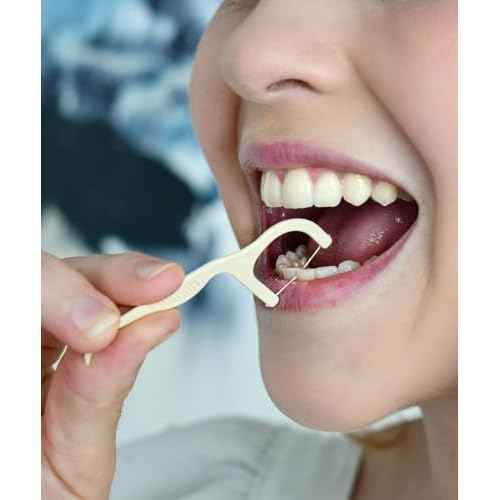 Floss Picks Biodegradable (200pcs) - Natural Dental Floss Picks, Vegan, Sustainable, Reusable, Shred Resistant and Nontoxic Plant-Based Material - Single Thread Mint