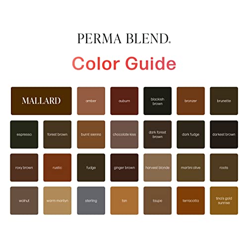 Perma Blend - Dark Forest Brown - Microblading Ink for Permanent Eyeliner - Professional Tattoo Ink - Neutral Cool Dark Brown Tattoo Ink Makeup - Vegan (0.5 oz)