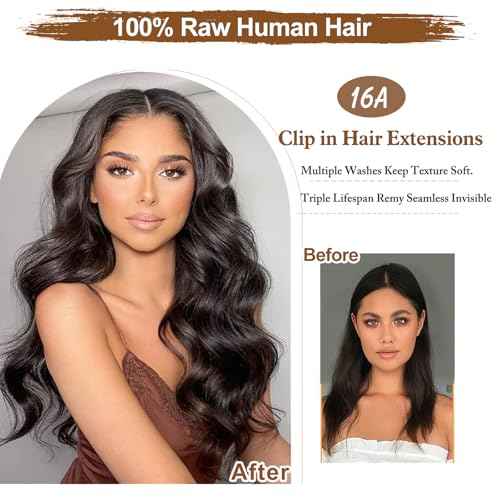 16A Premium Clip in Hair Extensions Real Human Hair, 20inch 120g 7pcs£¨Service life1.5~2 years£©Remy Seamless Invisible Double Weft Human Hair, #T4/27 Balayage Multiple Washes Keep Texture Soft