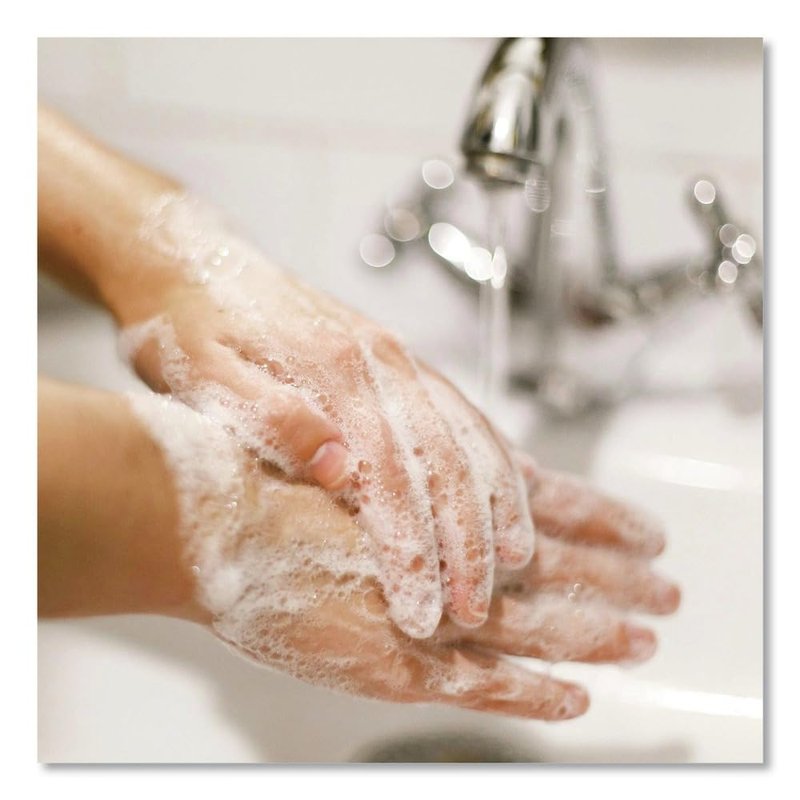 Dial 15926EA Antibacterial Liquid Hand Soap, Spring Water Scent, 1 gal Bottle