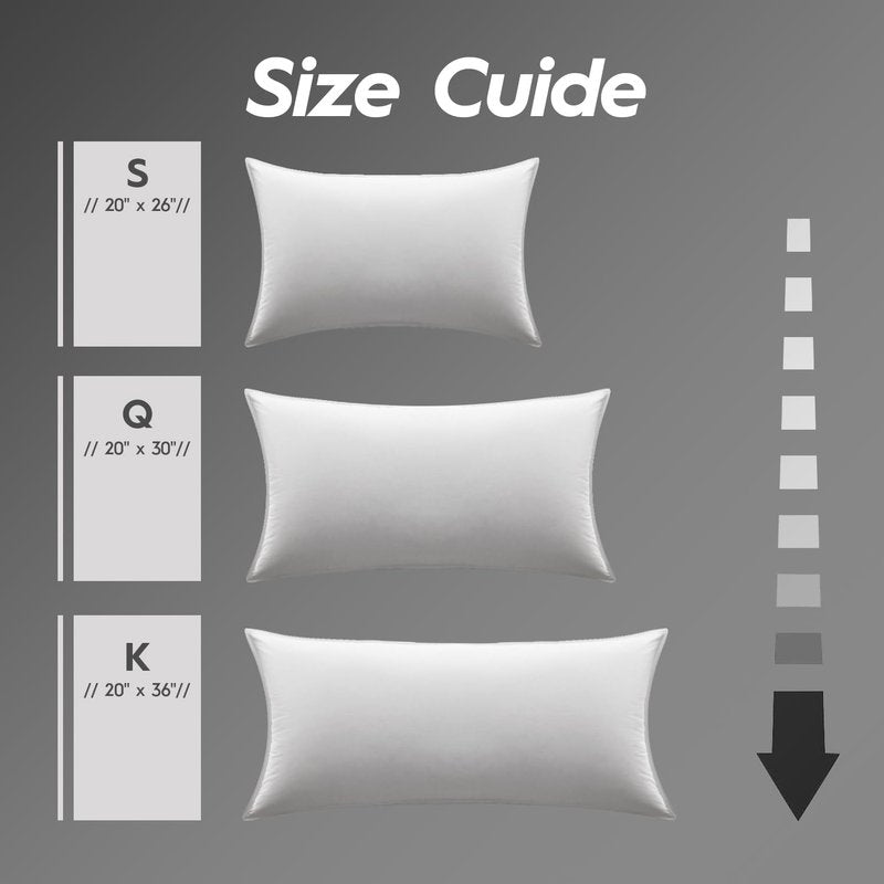 Globon Ultra Soft Down Pillow Queen Size, Premium Down Filled Bed Pillow for Sleeping, 100% Cotton Shell 500 Thread Count 700 Fill Power, Soft Hotel Collection Down Feather Pillow 20" x 30" 1 Pack