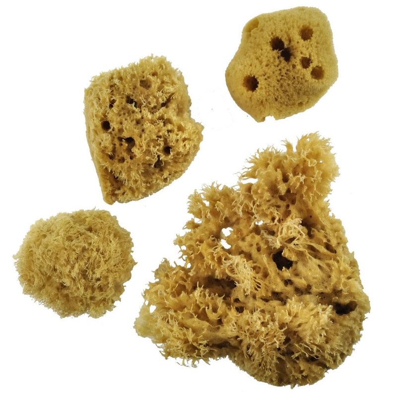 Royal & Langnickel Sea Silk Sponges Pack of 4
