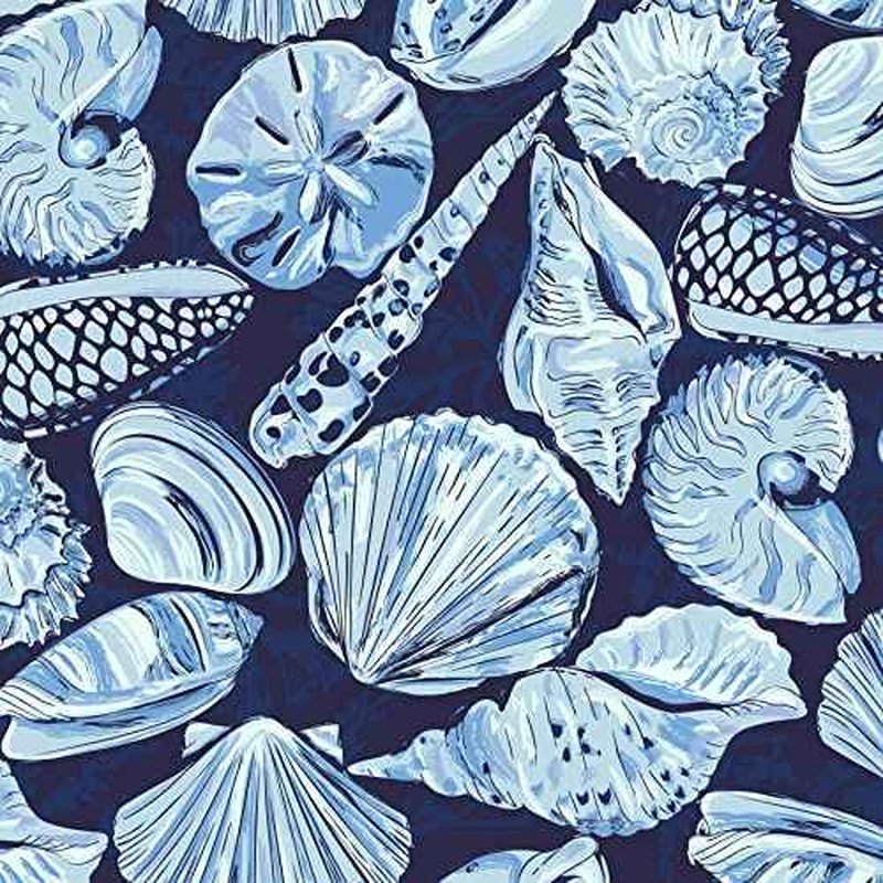 Women's Beach Cosmetic Makeup Organizer Bag