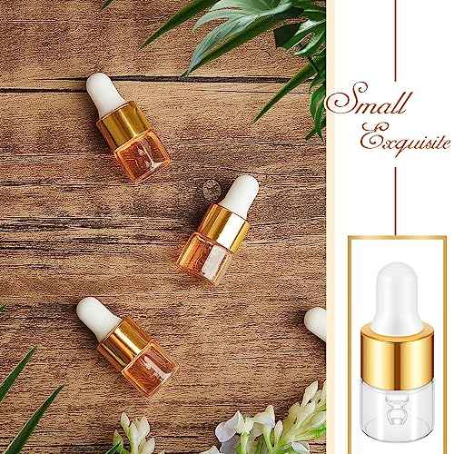 100 Pcs Mini Glass Oil Dropper Bottle Bulk, Clear Essential Small Empty Bottles Sample Containers Perfume Liquid Vials with Cap for Traveling (1 ml,Gold)