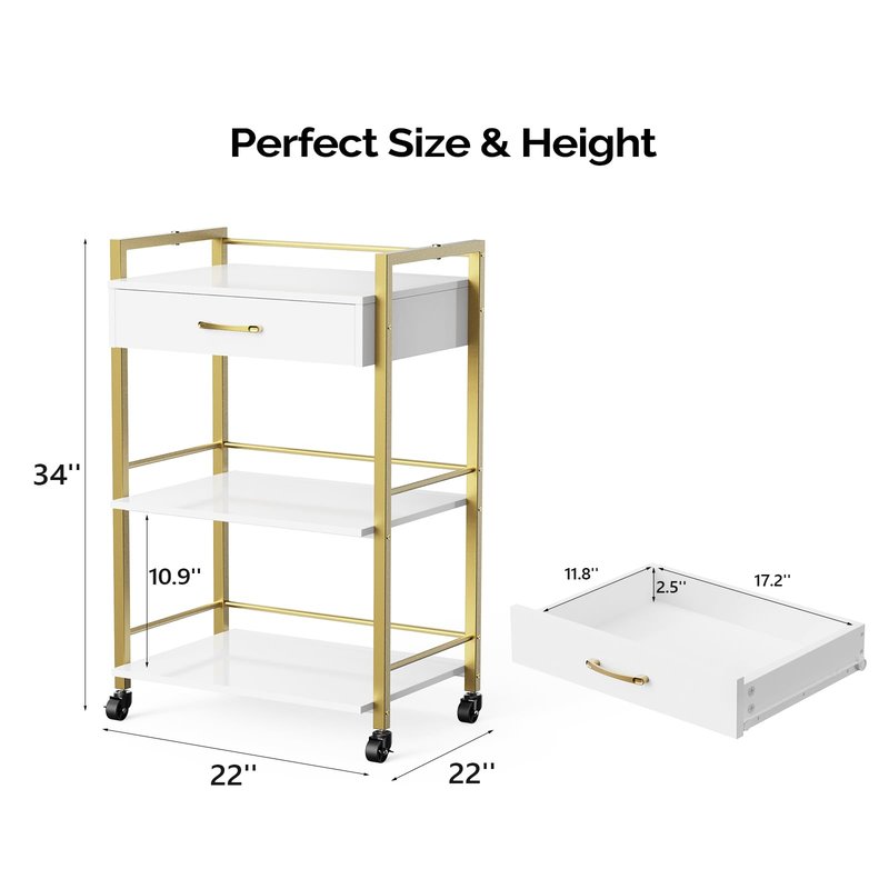 OmySalon Salon Trolley Cart with Wheels, Esthetician Cart with 1 Drawer & 2 Trays, Mobile Storage Organizer for Beauty Spa Massage Tattoo Esthetic Facial Tool Holder Station, White Gold