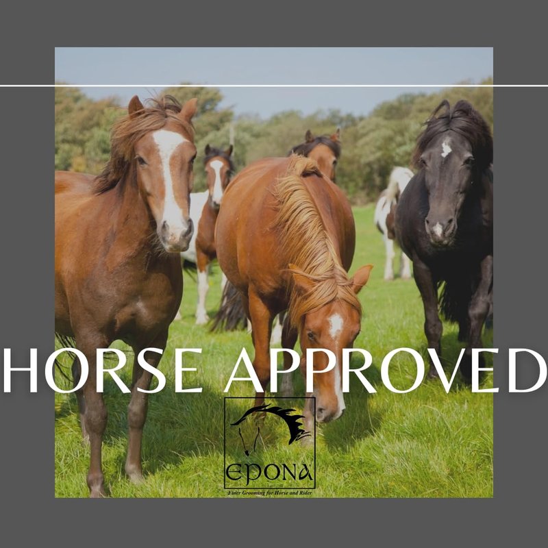 Epona Tacknology Advanced Tack Sponge Horse Grooming Tool