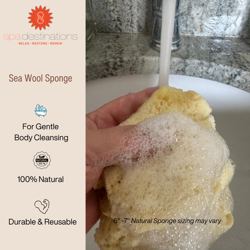 Spa Destinations Natural Sea Wool Sponge 5-6" Natural Renewable Resource Bath & Shower
