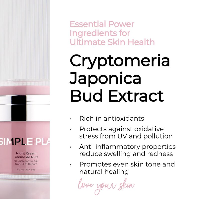 SIMPLE PLAN Hydrating Night Cream with Ceramides & Hyaluronic Acid, Anti-Aging Face Moisturizer for Dry & Sensitive Skin, Nourishing Overnight Face Cream for Women & Men, 50 ml