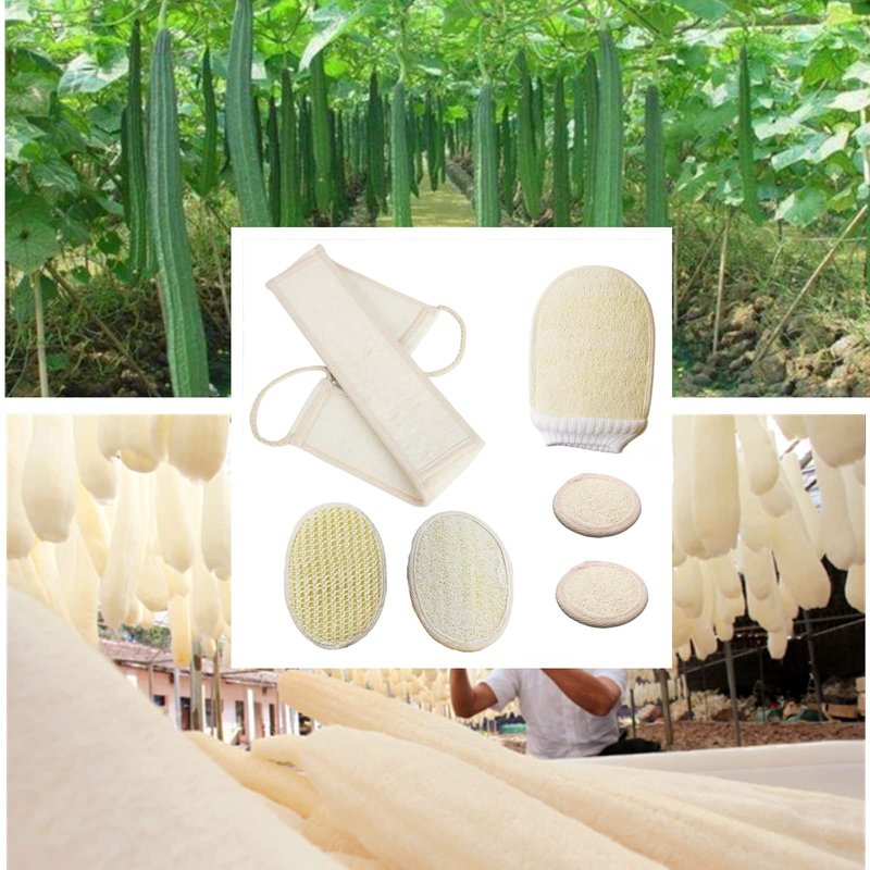 ENLAYER 6 Pack Natural Loofah Exfoliating Back Scrubber and Pad Set for Deep Cleaning in Shower, Natural Luffa Shower Bath Sponge Exfoliating Washcloth Face Scrubber Pad