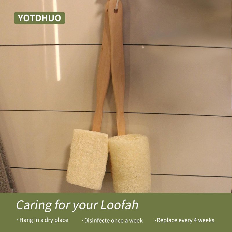 Natural Loofah with Handle,Back Scrubber for Shower Exfoliating Luffa On a Stick (1Pack) (Brush)