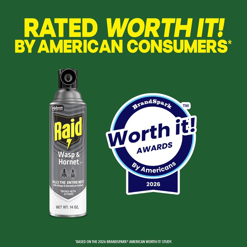 Raid Wasp & Hornet Killer Spray, Kills the Entire Nest, For Paper Wasps, Yellow Jackets, Mud Daubers and more, 14 oz (Pack of 2)