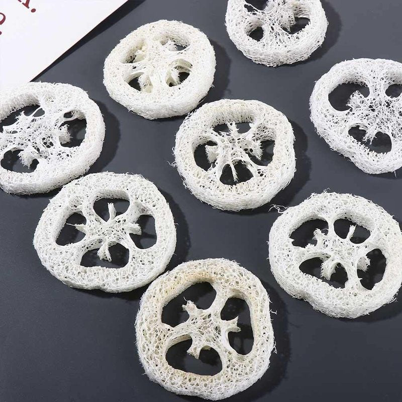 Leadigol 50 Pieces Loofah Sponge,2 inch, Small Natural Loofah Slices,Natural Loofah Sponges, Soap Making Tools,Loofah Sponge Scrubber,Soap Saver Pads Soap Holder