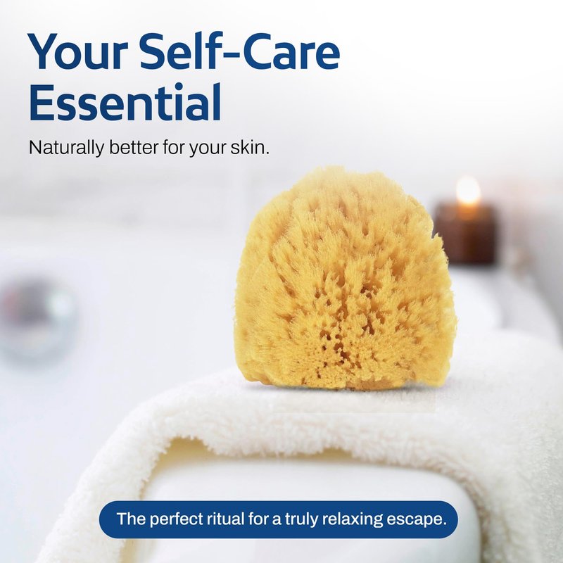 HartFelt Exfoliating Grass Sea Sponge Beauty Box | 2 Bath Sponges for Shower Women & Men 4in | Natural Sponge with Mesh Bag for Cleaning & Drying | Cleanses Skin from Dirt & Excess Oil - Gift Box