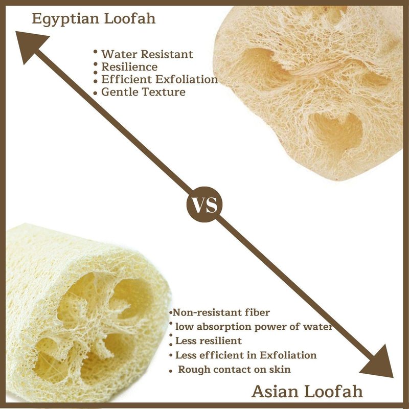 One Whole Egyptian Loofah 100% Natural SPA Beauty Bath Sponge Body Scrubber Puff. Premium Quality Lofa Loofa Luffa Loffa for exfoliating Your Skin.