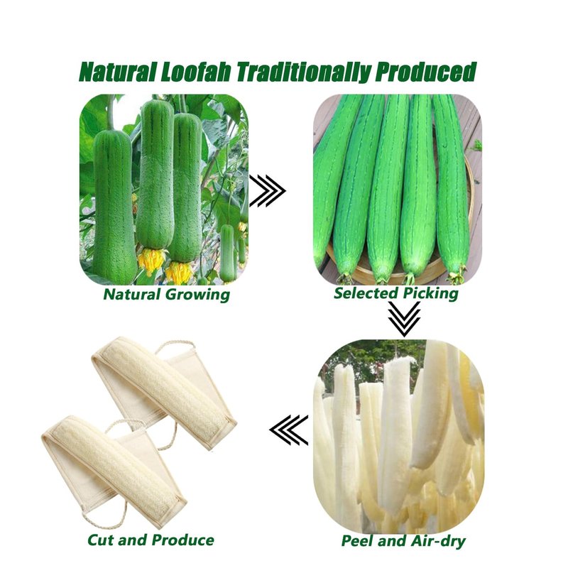 Natural Loofah Back Scrubbers for Use in Shower, Loofah Sponge Luffa Exfoliating Bath Strap, Body Scrubber for Shower Loofah for Men and Women to Clean Your Back Deeply 1 Pack