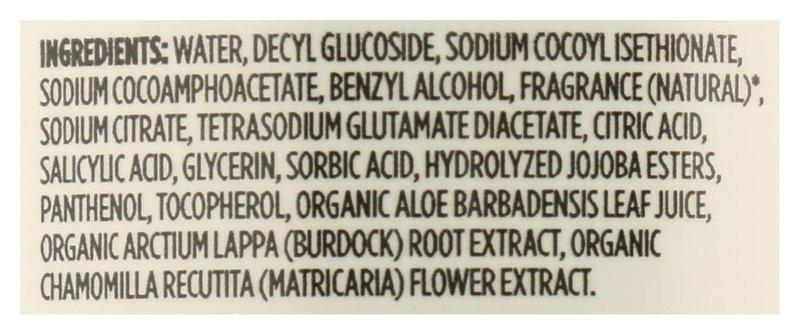 Hand Soap Foaming Satsuma Eucalyptus - 12 Fl Oz | Pack of 2