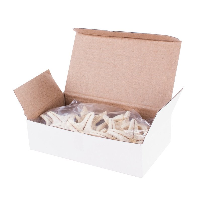 Super Z Outlet Starfish Natural Knobby Mini Beach Sea Stars for Wedding Seashell Crafts (12 Piece)