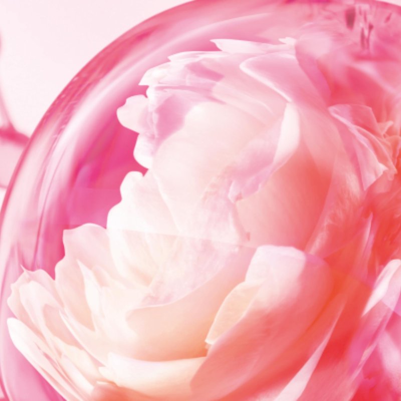 Charlotte Tilbury Love Frequency Eau De Parfum - Pheromone Enhancing Floral Perfume Enriched with Naturally-Derived Oils - Long-Lasting Scent with Notes of Patchouli Musk & Rose (10ml)