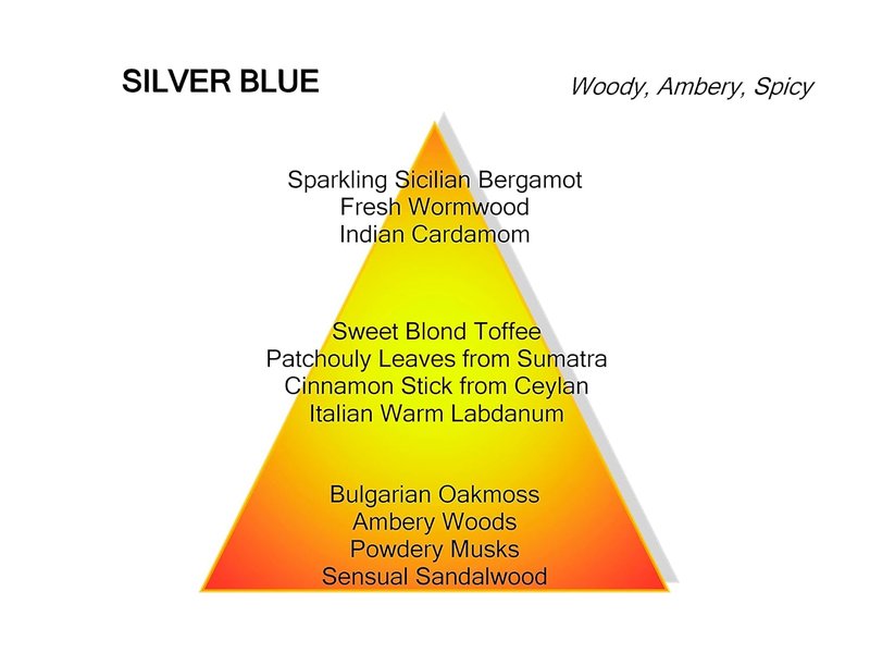 Mancera Silver Blue Eau de Parfum - Fresh Marine Citrus Fragrance | 120ml / 4 fl oz