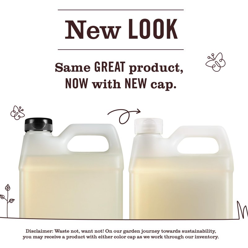 Mrs. MEYER'S CLEAN DAY Hand Soap Refill, Plum Berry Scent, 33 Fl Oz Bottle