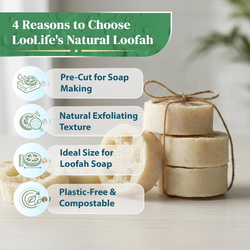 Natural Loofah Slices for Soap Making (20 Pack) - Organic Loufa Cuts - Bulk Luffa - Soap Making Supplies