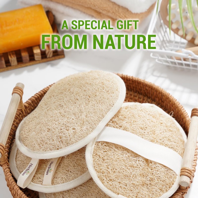 Herbvian Vietnamese Natural Loofah Exfoliating Body Scrubber Pads, 100% Plant-Based Shower Luffa Sponge, Bath Loofah for Women Men (3, Oval 6.5"x4.9")