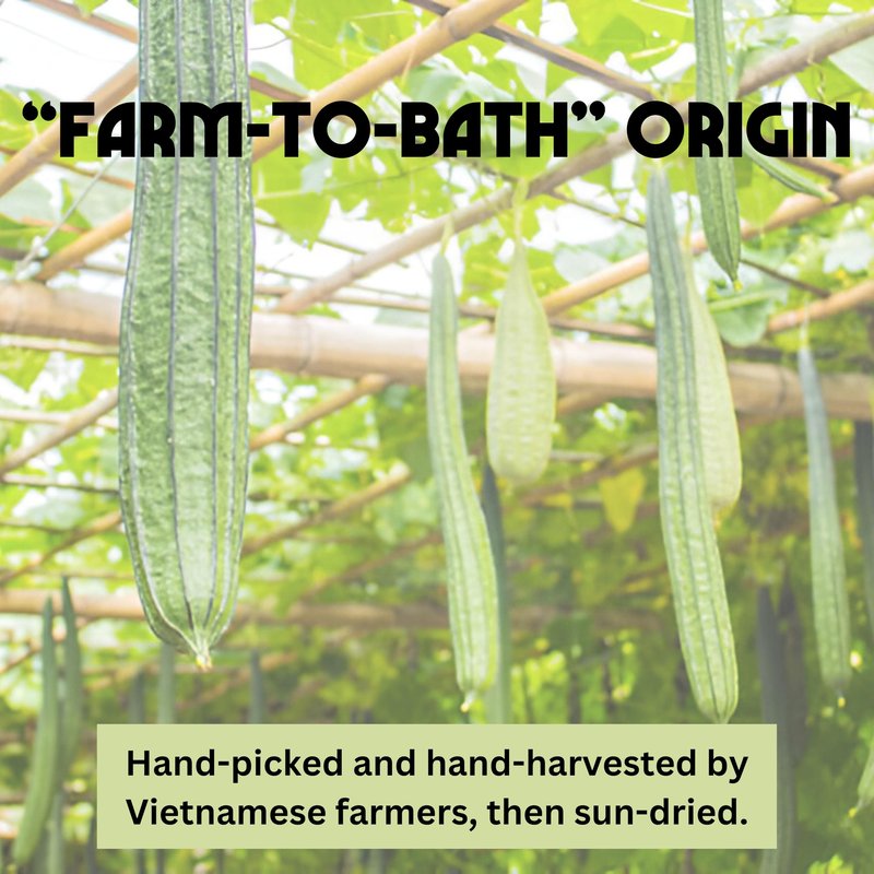 Birdee 100% Plant-Based Loofah Body Wash Sponge - Natural Luffa for Exfoliating and Radiant Skin, Hand-crafted in Vietnam, Pack of 4