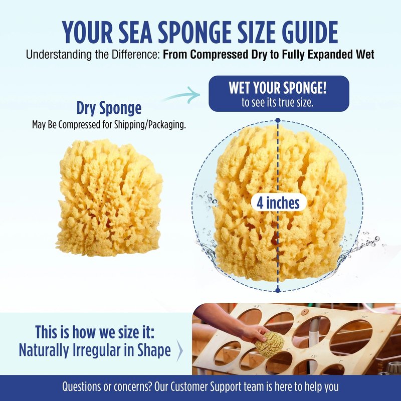 Baby Buddy Natural Wool Sea Sponge, Newborn Bath Time Essential, Ultra Soft for Delicate Skin, Hypoallergenic and Biodegradable, 2 Pack