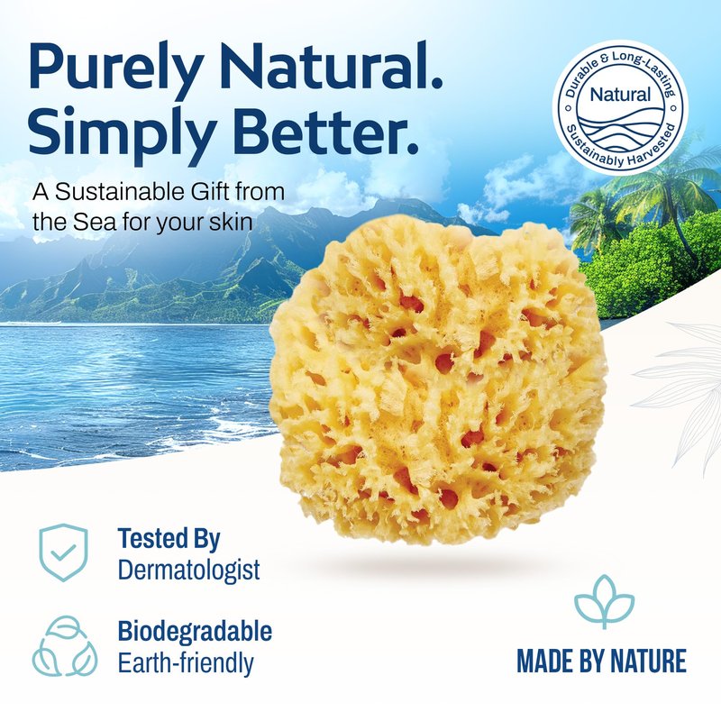 HartFelt Wool Sea Sponge Beauty Box for Delicate Skin | 2 Bath Sponges for Shower Women & Men 4 in | Natural Sponge with Mesh Bag for Cleaning & Drying | Chemical-Free Body Sponge Set - Gift Box