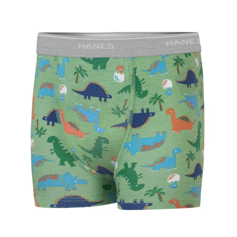 Hanes Toddler Potty Trainer Boxer Briefs for Toddlers, Light Leaks Potty Training Underwear for Boys, Multipacks