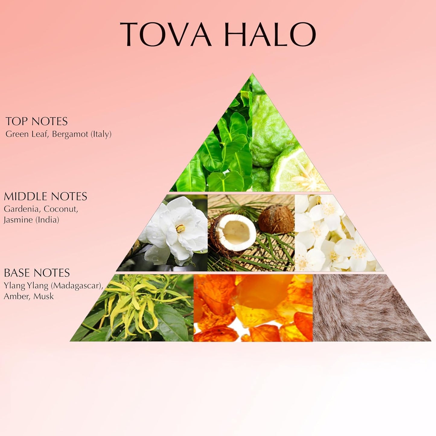 Tova Halo Eau de Parfum | Floral Gourmand Women's Perfume with Jasmine & Coconut - 3.4 fl oz, Cruelty-Free