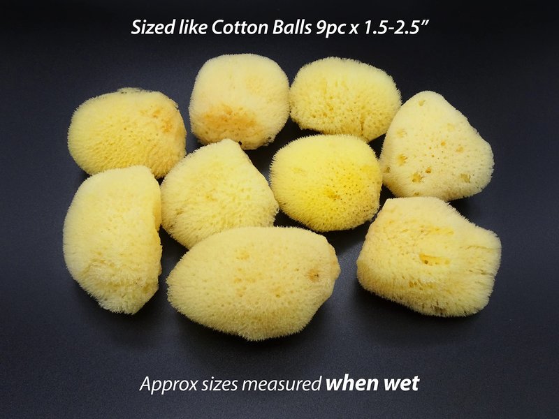 Constantia Beauty® Natural Sea Silk Sponges 12pack, use like Cotton Balls, Cosmetic Grade, Makeup Application Blending & Removal, Face & Eye Cleaning, Size 9pc x1.5"-2.5" 3pc x 2.5"-3" Reuseable Bag
