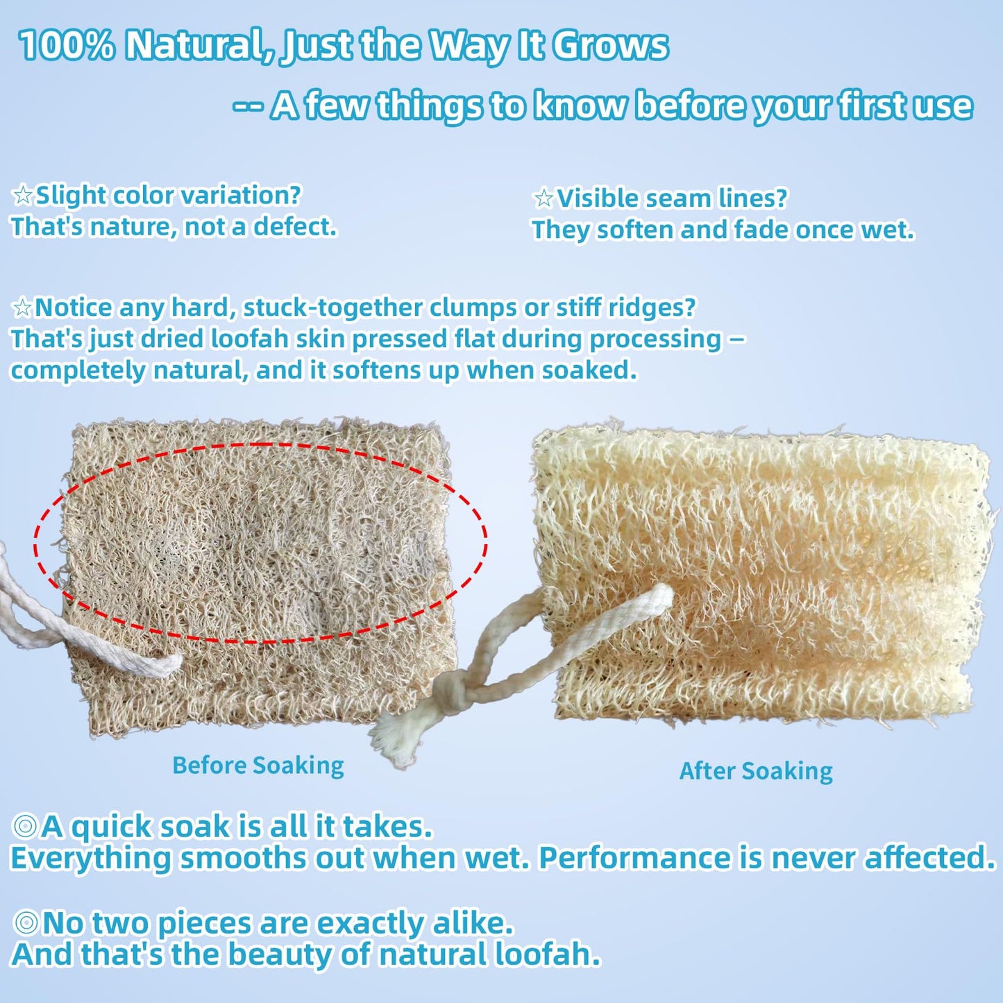 Natural Loofah Exfoliating Body Sponge Scrubber, Plant-Based Organic Loofa Luffa for Men & Women Skin Care Bath Shower Cleaning Back & Fac, Natural Sponges for Dishes (4", 4Pack)