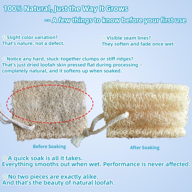 Natural Loofah Exfoliating Body Sponge Scrubber, Plant-Based Organic Loofa Luffa for Men & Women Skin Care Bath Shower Cleaning Back & Fac, Natural Sponges for Dishes (4", 4Pack)