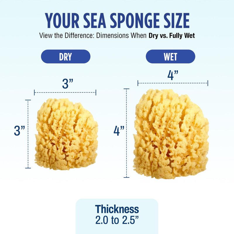 Baby Buddy (1 Count, 4 Inch) Natural Yellow Sea Bath Sponge, Natural Baby Bath Sponge for Newborns and Kids, Soft When Wet, Absorbent, Biodegradable, Hypoallergenic