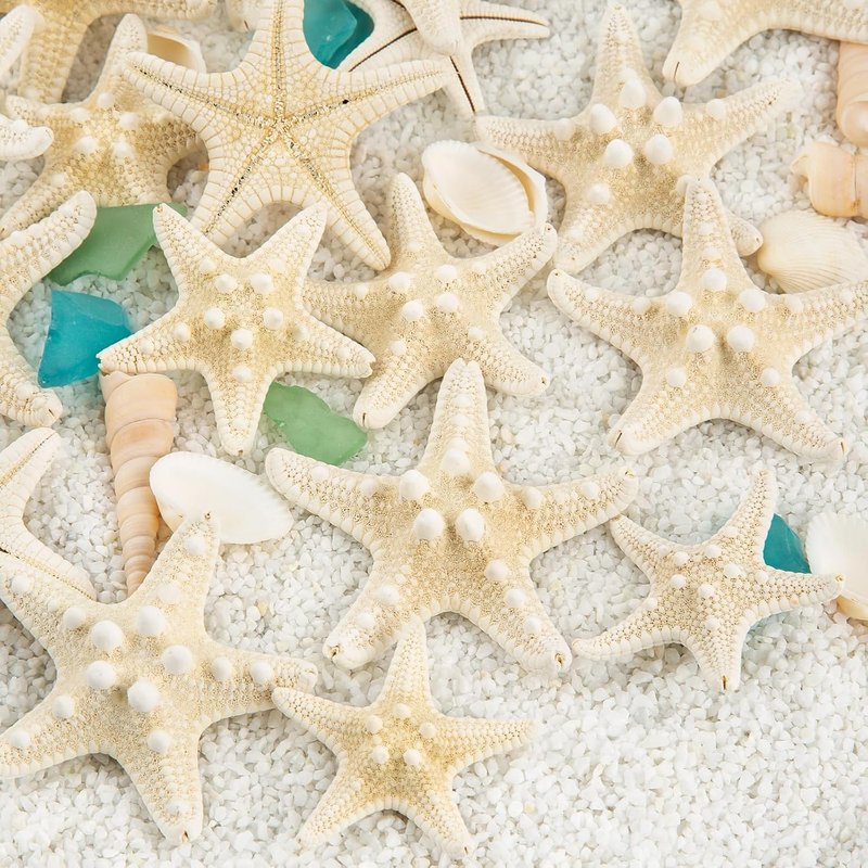 Natural Starfish for Crafts - 20PCS Bulk Decor for Wedding & Beach Theme | 1" to 3" Size
