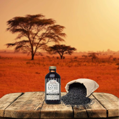 Shea Terra Ethiopian Black Seed Cold-Pressed Extra Virgin Oil | All Natural & Oil to Boost Immune System, Improve Hair Growth & Skin Tone, Manage Chronic Dry Skin, Eczema & More - 8 oz
