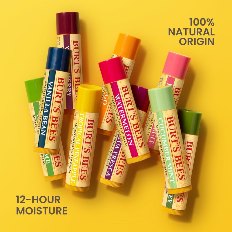 Burt's Bees Lip Balm - Vanilla Bean, Lip Moisturizer With Responsibly Sourced Beeswax, Tint-Free, Natural Origin Conditioning Treatment, 2 Tubes, 0.15 oz. (Pack of 2)