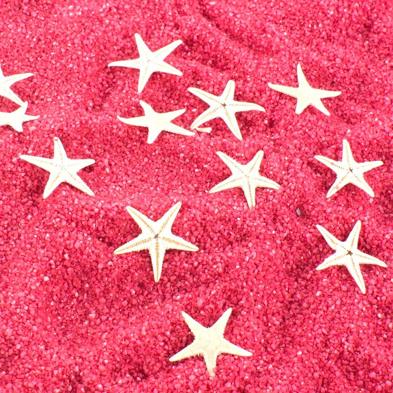 Super Z Outlet Tiny Miniature Fairy Garden Beach Critter Starfish Marine Life Collection for Arts & Crafts Projects, Decorations, Party Favors, Invitations - 90 Pieces