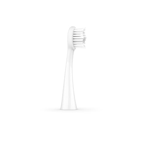 ORDO Sonic+ Electric Toothbrush for Adults, Advanced Tech, 4 Brushing Modes, Fast Rechargeable, Sonic Toothbrushes Over 4 Weeks Battery Life, Silicone Polishing Element, USB Charger, White Silver