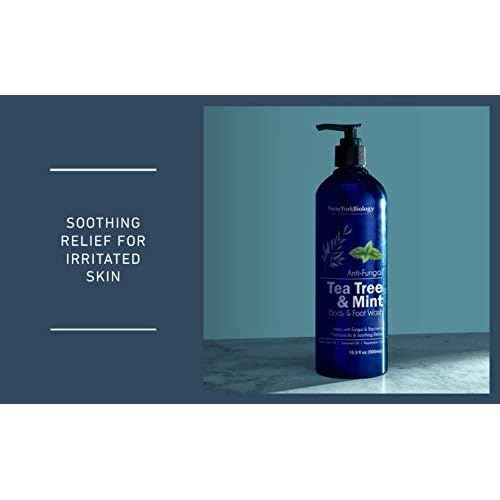 New York Biology Tea Tree Mint Body Wash for Men and Women - Moisturizing Body Wash Helps Soothe the Skin - Refreshing and Hydrating Cleanser for Body and Feet - 16.9 Fl Oz (Pack of 2)
