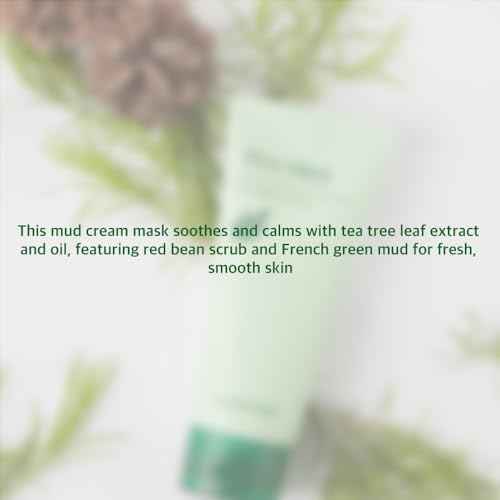Papa Recipe Tea Tree Mud Mask ? Kaolin & Bentonite Clay for Pore Care & Oil Control ? Red Bean Exfoliation & Soothing Formula ? Korean Skincare