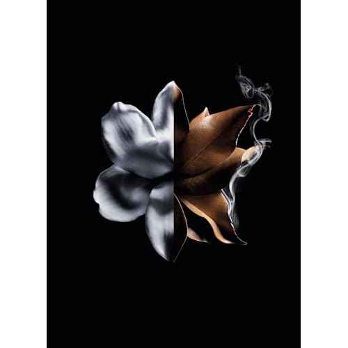 Linterdit Absolu Intense by Givenchy for Women - 2.7 oz EDP Spray
