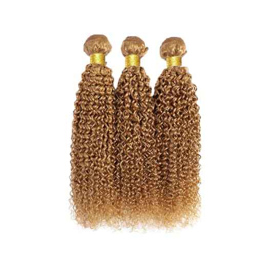 Color #27 Bundle Honey Blonde Curly Human Hair Bundles 30 32 34 Inch Brazilian Color 27 Kinky Curly Bundles Human Hair Honey Blonde Bundle