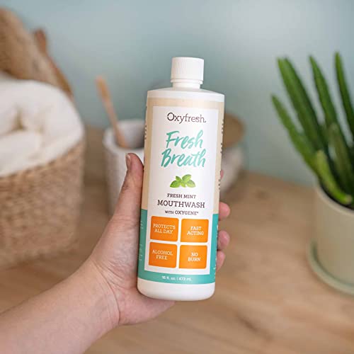 Oxyfresh Fresh Mint Flavored Mouthwash for Adults, Fresh Breath & Bad Breath Treatment ? Dentist Recommended for Long - Lasting Fresher & Healthy Gums - Alcohol & Fluoride Free - 16 Fl Oz (Pack of 3)