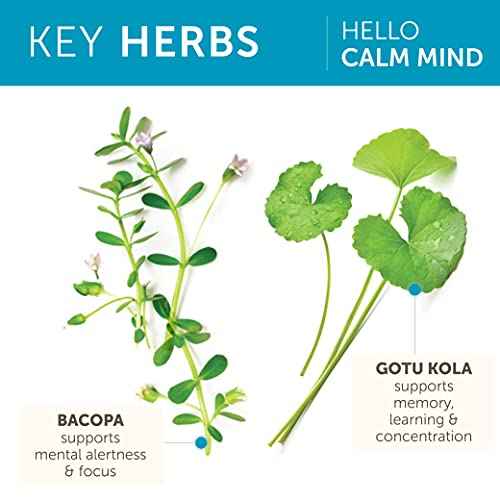 Himalaya Hello Calm Mind Herbal Supplement, with Bacopa, L-Theanine, Gotu Kola, Supports Concentration & Focus, Cognitive Function, Clear Thinking, Relaxation, Vegan, Gluten Free, 60 Capsules