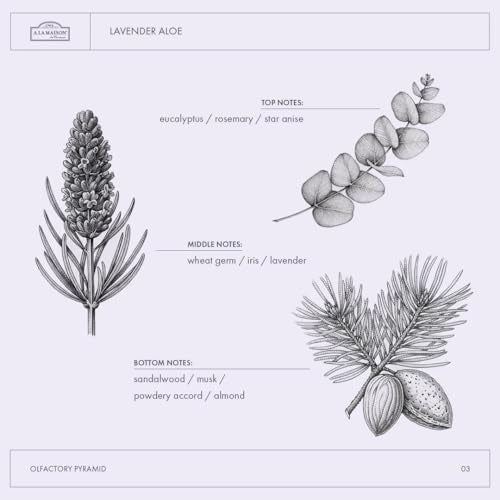 A La Maison de Provence Natural Aluminum-Free Deodorant Traditional French Milled Formula | Long Lasting Safe and Effective | Free of SLS, Parabens and Sulfates (3 x 2.4 oz, Lavender Aloe)